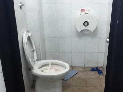 I bagni di Giurisprudenza e Scienze Politiche