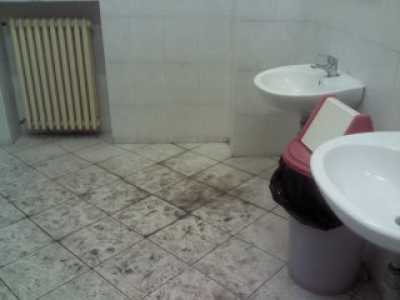I bagni di Giurisprudenza e Scienze Politiche