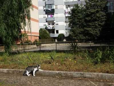 La �pista� che si trova sull�odierna via Padre Pio, una strada parallela a via Caldarola che si affaccia sulla campagna. Lo spiazzo esiste ancora: negli anni 80 era �requisita� dai bambini per giocarci a calcetto