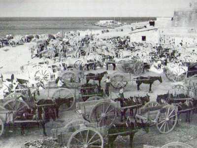 I somari e i carretti che trasportano il materiale edile necessario alla costruzione del lungomare voluto da Araldo di Crollalanza e a lui dedicato