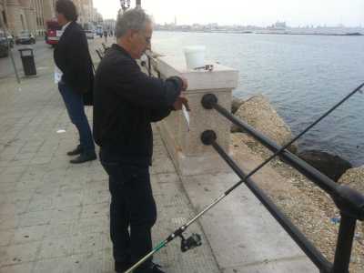 Al pesce viene tolto l'amo e poi � messo nel secchiello