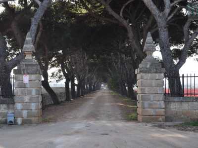 Dall�inizio del sentiero, delimitato da due colonne in pietra, la masseria non si riesce nemmeno a vedere per quanto � lontana dal cancello d�ingresso