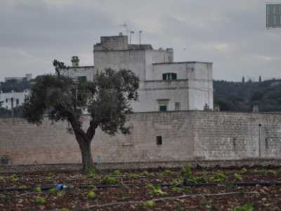 Per fotografare la struttura, di propriet� di un�azienda agricola locale, abbiamo dovuto usare uno zoom molto potente
