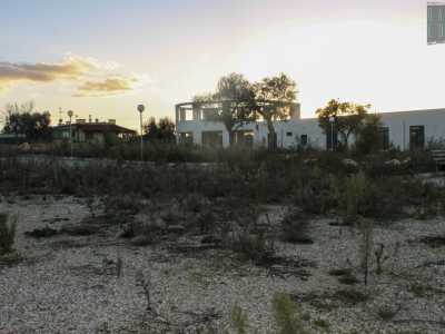 Tra i ciottoli e la vegetazione incolta si erge in lontananza l'edificio a forma di osso concepito per curare e sterilizzare i cani randagi