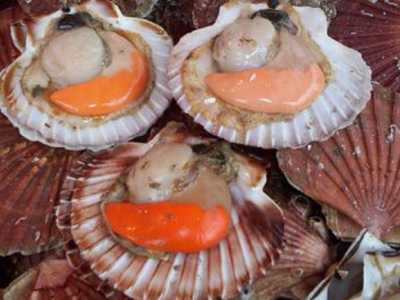 La pregiata cappasanta