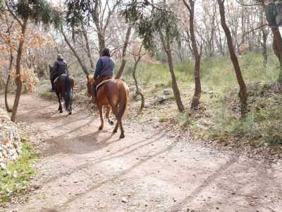 Ad un tratto il silenzio � sovrastato dal trottare di due cavalli: sfilano lentamente al comando di due signori in sella