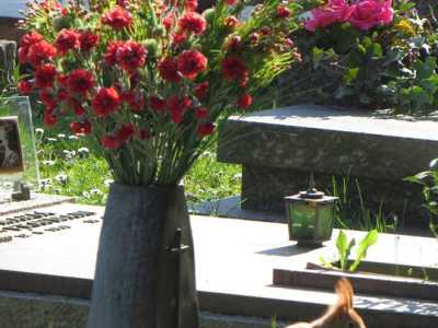 Uno scoiattolo attraversa il cimitero di San Vito, Udine