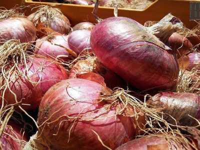 La cipolla di Acquaviva si riconosce dal colore (tra il rosso carminio e il violaceo), dal sapore (� la pi� dolce tra le �rosse�, pur mantenendo un gusto forte e intenso) e dalla particolare forma (appiattita, come se fosse un grande disco)