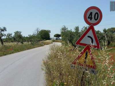 Decidiamo di raggiungere la circonvallazione dalla statale 100, dove per� nessuna indicazione ce la segnala. Sappiamo per� che per prenderla � necessario imboccare la complanare: una strada stratta a doppio senso di marcia, invasa da una fitta vegetazione, pure segnalata dal cartello �rami sporgenti�