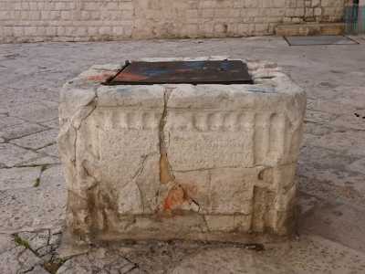 Parlavamo delle cisterne fatte installare da Bona Sforza: una di queste � ancora visibile in una rientranza di strada Ronchi, nei pressi della Cattedrale