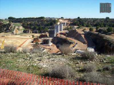 Immensa la zona interessata, migliaia di ulivi divelti