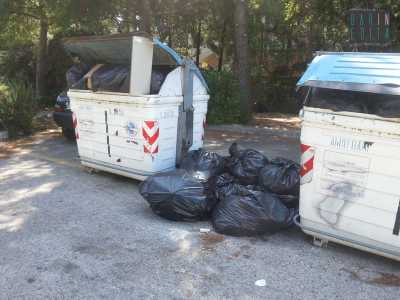 Sacchi di indifferenziata a terra, malgrado ci sia ancora posto nei cassonetti
