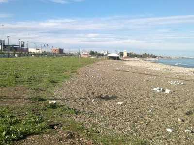 Torre Quetta oggi, una distesa che copre l'amianto ma ha ucciso la flora e fauna marina