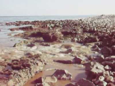 La costa inquinata