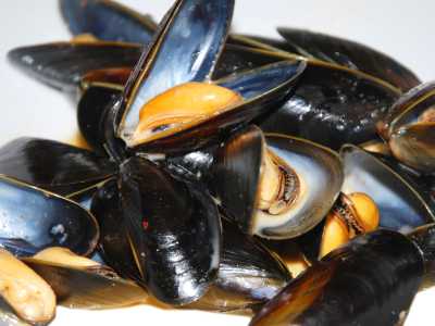 La cozza, frutto di mare piuttosto economico