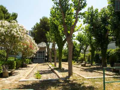 Sul retro un altro giardino conserva oltre a una Madonnina, delle panchine in muratura e piste per giocare a bocce. Tutte strutture che nessun paziente potr� pi� utilizzare...
