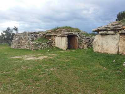 Il dolmen di san Silvestro, scoperto nel 1961 nelle campagne di Giovinazzo. In realt� le strutture sono due, poste una di fronte all�altra. Probabilmente in origine si trattava di un unico ambiente che and� parzialmente distrutto al momento del rinvenimento