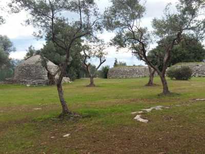 L�area si presenta molto curata, con un prato verde, alberi di ulivo e querce