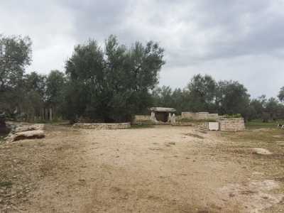 Il dolmen la Chianca, nella campagne di Bisceglie, � circondato da muretti a secco che formano una �recinzione� semicircolare