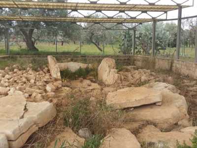 Il dolmen non � messo benissimo: ci sono solo i resti di ci� che dovevano essere le lastre laterali che affiorano dal terreno inghiottite da erbacce e arbusti. Manca la lastra di copertura