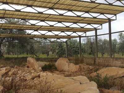 Il dolmen dei Frisari � protetto da una recinzione alquanto fatiscente