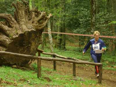 Una signora, a passo contenuto, percorre il bosco alla ricerca delle lanterne