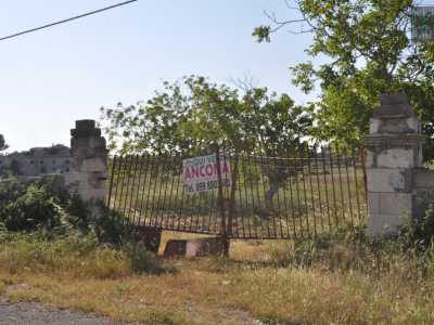 Raggiungere il maniero � semplicissimo. Provenendo da Bari, bisogna percorrere la statale 100 in direzione Taranto per imboccare poi lo svincolo per Castellaneta. Ci si immette cos� nella strada provinciale 23: dopo qualche centinaio metri la destinazione finale appare sulla destra, preceduta da un cancello malmesso e un vialetto sterrato
