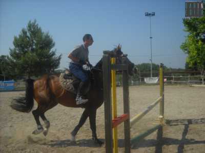 L'istruttore Piero Addante, in procinto di saltare un ostacolo con il suo cavallo, nel circolo ippico Country Life