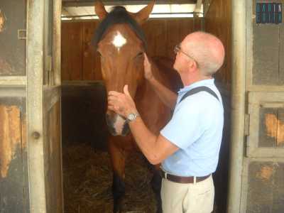 Luigi Vacca ed il suo cavallo Big Luciano che, pur essendo grande e grosso, ha paura delle galline