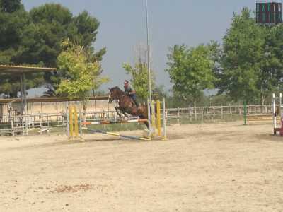 Addante ed il suo destriero durante l'allenamento di salto ostacoli