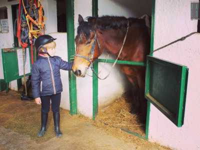 Domenico, di 5 anni, � gi� pronto per la lezione con in testa un casco nero e ai piedi i classici stivali da equitazione. Oggi dovr� cavalcare Shutterfly, un bellissimo pony marrone, tra i pi� grandi del maneggio