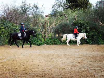 Mentre i cavalli nel campo procedono lentamente e pazientemente, i bambini hanno tutti un�aria molto concentrata