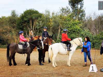 I cavalieri sono pronti per iniziare la lezione. Entrano in groppa ai cavalli in un campo di sabbia lungo almeno 40 metri e vengono affiancati da Alessandra e da una sua aiutante