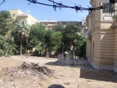 L'ampio giardino in abbandono