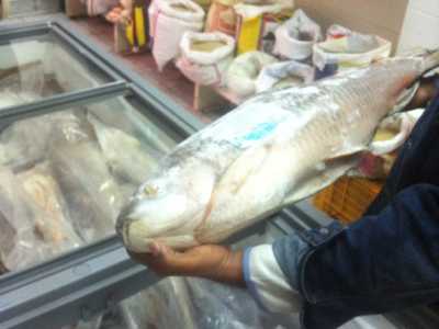 I market indiani