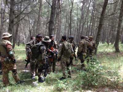 Simulazione in un bosco