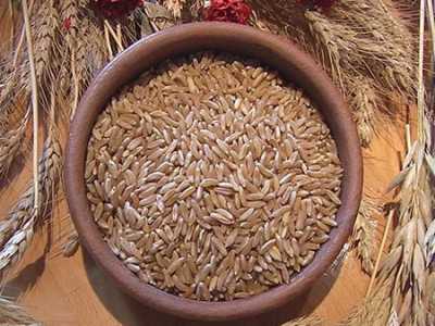 Grano Kamut