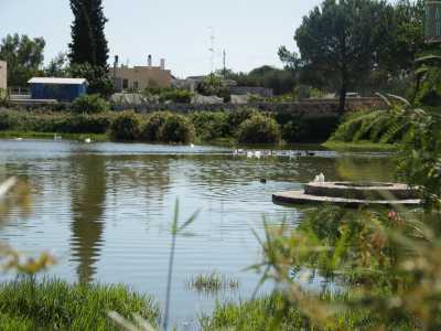 Nel 1948 nelle acque del lago di Sassano viene rinvenuto il corpo di un uomo trafitto a pi� riprese da colpi di pugnale.  Per gli inquirenti potrebbe trattarsi proprio di uno dei complici coinvolti nel duplice omicidio della Don Camillo