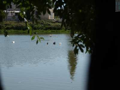 Per i delitti della masseria e del lago non fu condannato nessuno, d�altronde gli unici testimoni degli omicidi furono gli uccelli e le papere, che nonostante la fama di chiacchierone hanno tenuto il becco sempre ben chiuso