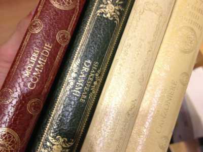 Libri nei cassonetti di via Melo
