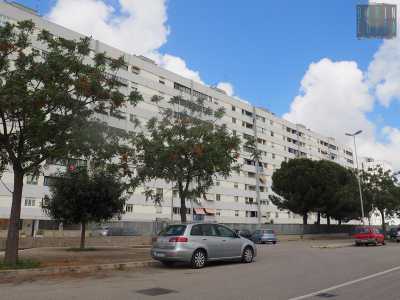 Loseto: i suoi alti palazzi isolati