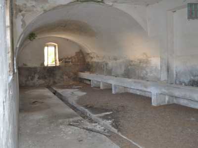 Scopriamo l�antica stalla...