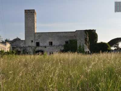 Ci facciamo largo affondando nell�erba alta, fino a raggiungere uno degli ingressi