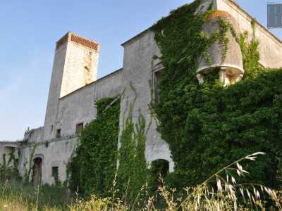 La parete est della masseria � ricoperta di rampicanti: si intravede per� una garrita pensile fra le foglie verdi