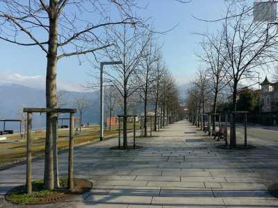 La nostra esplorazione parte dalla lunga arteria che costeggia il lago, via Dante Alighieri. Sulla sinistra c'� un ampio parco caratterizzato da panchine colorate e un viale alberato, ideale per una lunga passeggiata