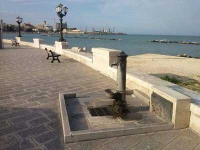 Cap d firr sul lungomare Augusto Imperatore, poco prima di entrare nella strada del Molo Sant'Antonio