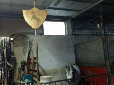 All'entrata della bottega campeggia lo stemma della sua scuderia che ospita due  muli, un cavallo e un pony bianco