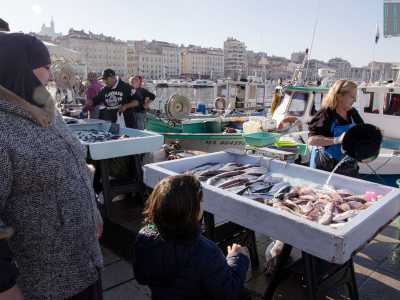 Tornandoci di giorno il vecchio porto regala il suo aspetto pi� caratteristico e verace: il mercato del pesce, appuntamento quotidiano animato da grida, colori e tanti avventori
