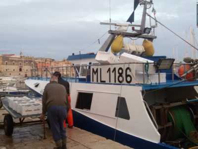 Alcuni pescatori scaricano dalle loro barche sul porto di Bisceglie la merce catturata durante la notte