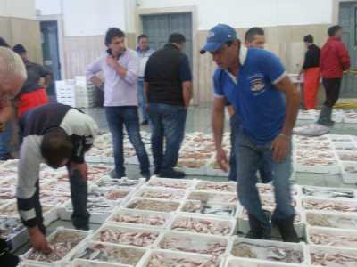 Un altro momento dell'asta: il prezzo della merce varia a seconda della quantit�, della qualit� e delle condizioni metereologiche affrontate durante la pesca
